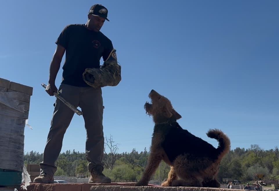 Tucker holding during a training session.